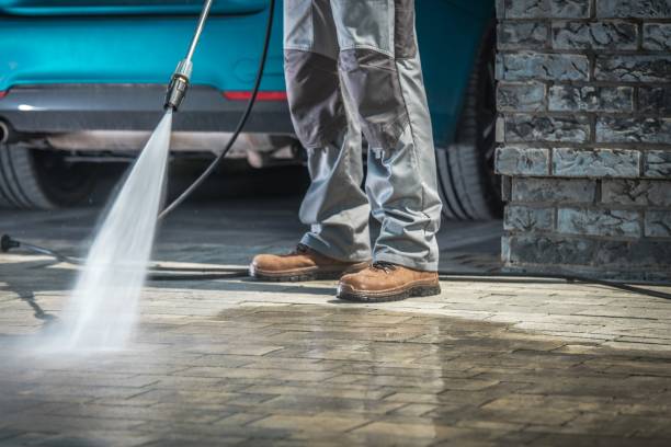 Best Roof Washing  in Fort Branch, IN